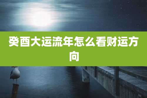 癸酉大运流年怎么看财运方向