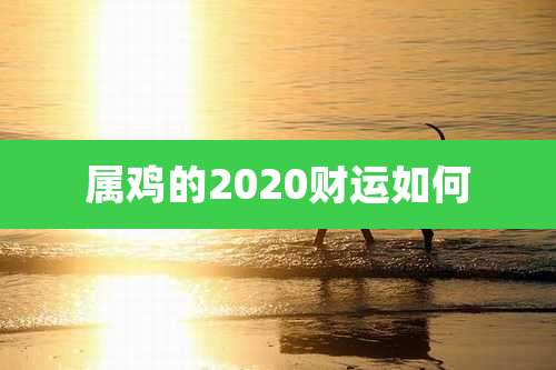 属鸡的2020财运如何