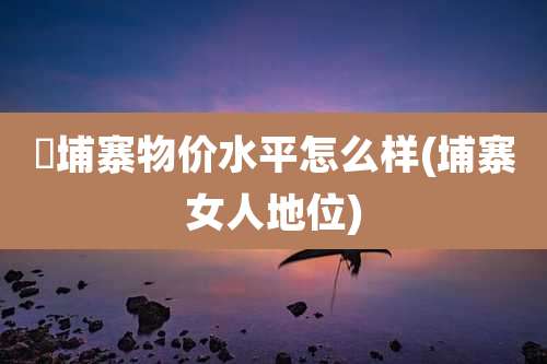堜埔寨物价水平怎么样(埔寨女人地位)