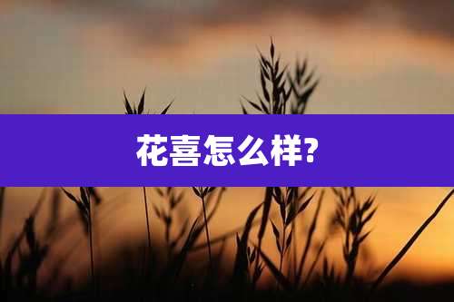 花喜怎么样?