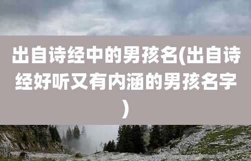 出自诗经中的男孩名(出自诗经好听又有内涵的男孩名字)
