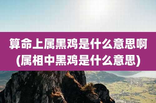 算命上属黑鸡是什么意思啊(属相中黑鸡是什么意思)