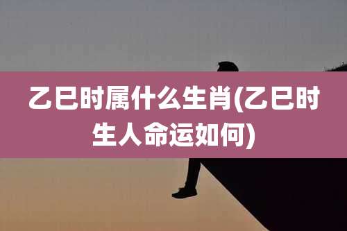 乙巳时属什么生肖(乙巳时生人命运如何)