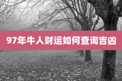 97年牛人财运如何查询吉凶