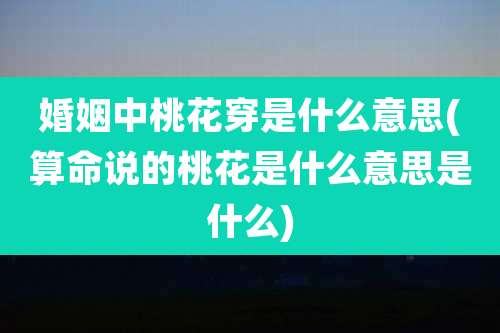 婚姻中桃花穿是什么意思(算命说的桃花是什么意思是什么)