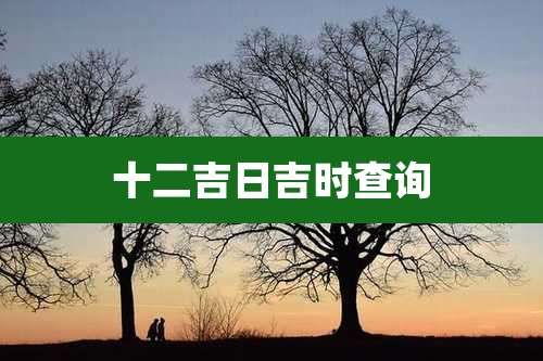 十二吉日吉时查询