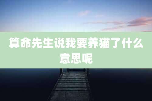 算命先生说我要养猫了什么意思呢