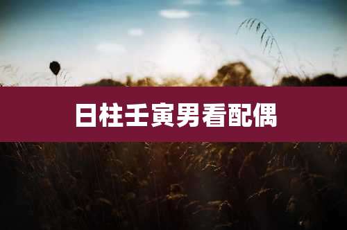 日柱壬寅男看配偶