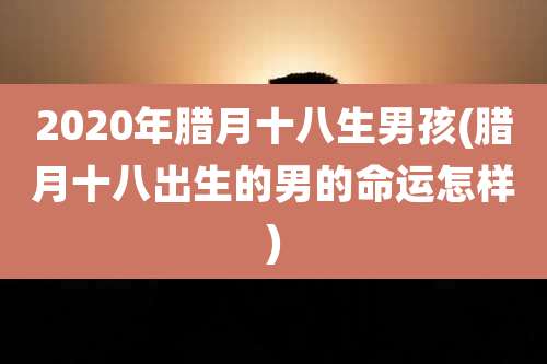 2020年腊月十八生男孩(腊月十八出生的男的命运怎样)