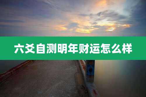 六爻自测明年财运怎么样