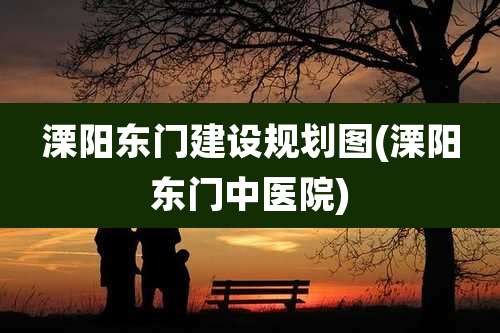 溧阳东门建设规划图(溧阳东门中医院)