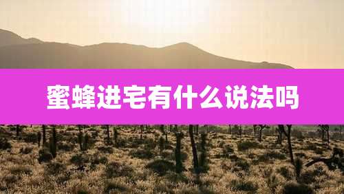 蜜蜂进宅有什么说法吗