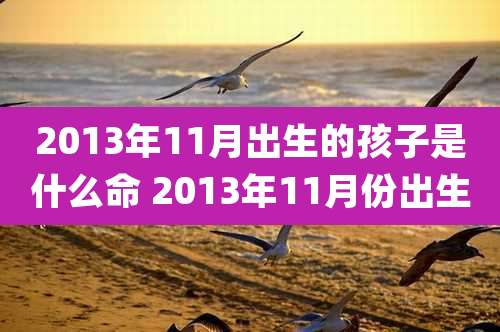 2013年11月出生的孩子是什么命 2013年11月份出生
