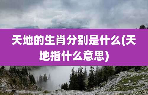 天地的生肖分别是什么(天地指什么意思)