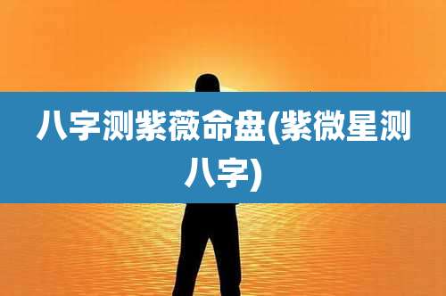 八字测紫薇命盘(紫微星测八字)