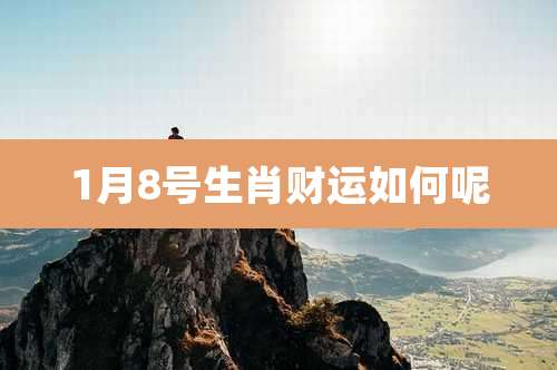 1月8号生肖财运如何呢