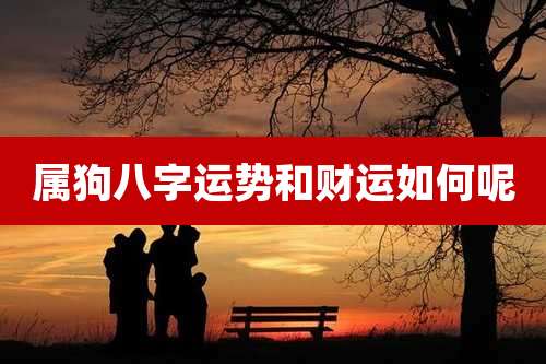 属狗八字运势和财运如何呢