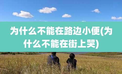 为什么不能在路边小便(为什么不能在街上哭)