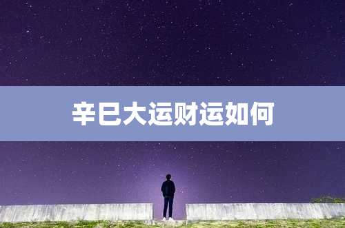 辛巳大运财运如何