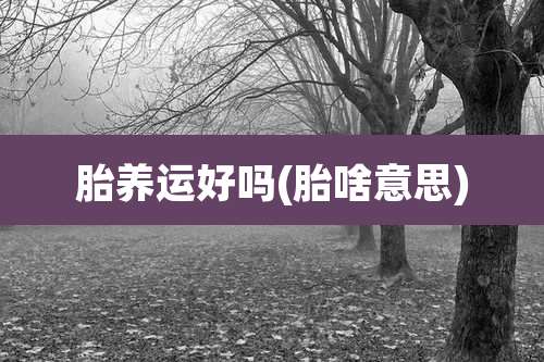 胎养运好吗(胎啥意思)