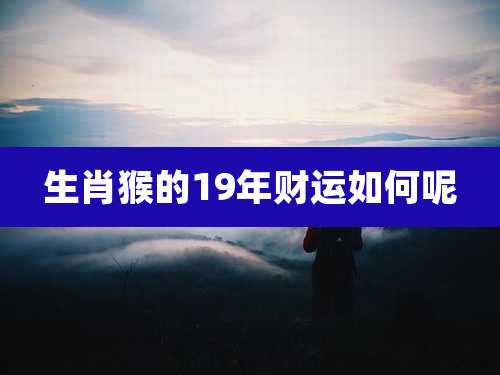 生肖猴的19年财运如何呢