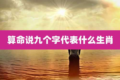 算命说九个字代表什么生肖