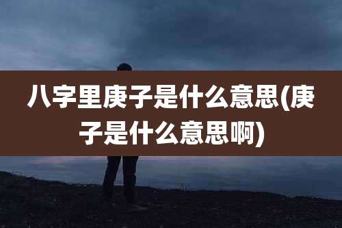 八字里庚子是什么意思(庚子是什么意思啊)