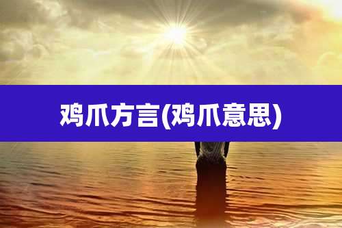 鸡爪方言(鸡爪意思)