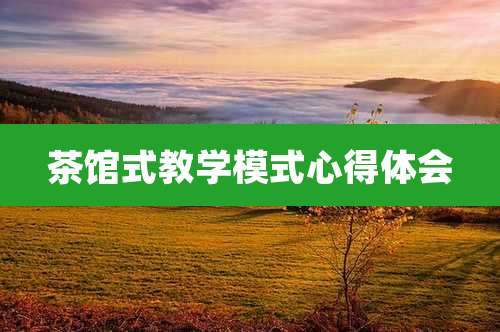 茶馆式教学模式心得体会