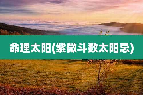 命理太阳(紫微斗数太阳忌)