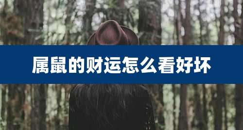 属鼠的财运怎么看好坏