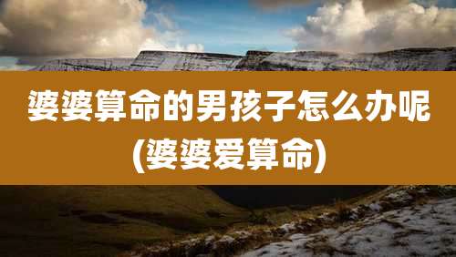 婆婆算命的男孩子怎么办呢(婆婆爱算命)