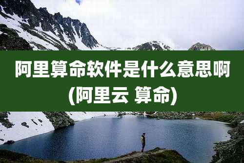 阿里算命软件是什么意思啊(阿里云 算命)