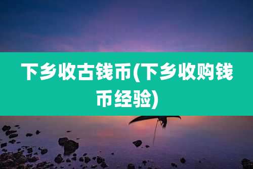 下乡收古钱币(下乡收购钱币经验)