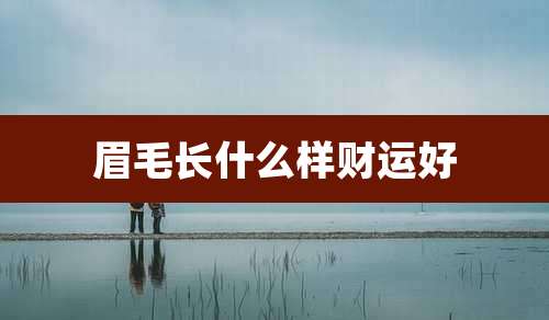 眉毛长什么样财运好