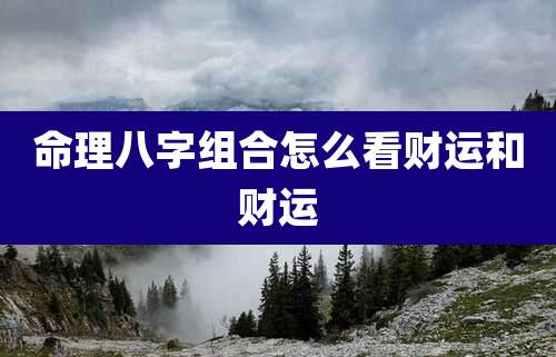 命理八字组合怎么看财运和财运