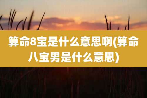 算命8宝是什么意思啊(算命八宝男是什么意思)
