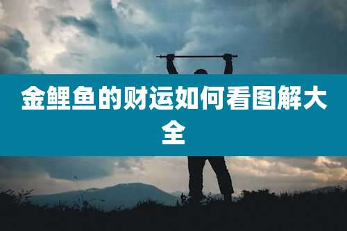 金鲤鱼的财运如何看图解大全