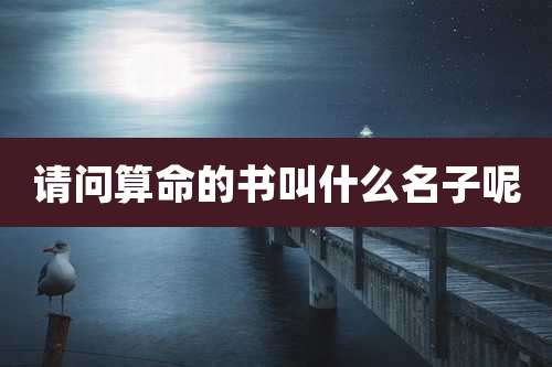 请问算命的书叫什么名子呢
