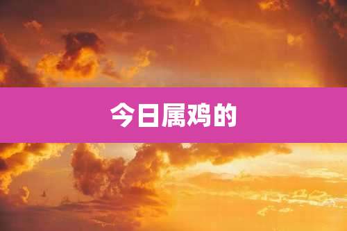 今日属鸡的