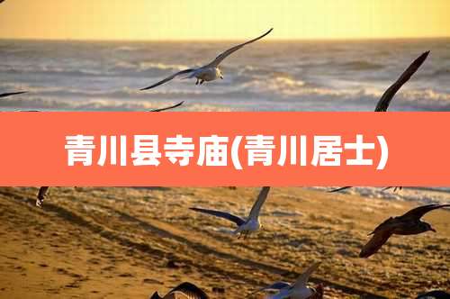 青川县寺庙(青川居士)