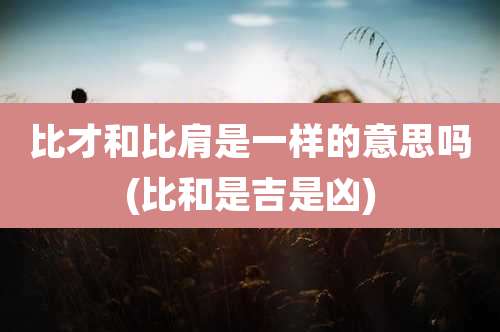 比才和比肩是一样的意思吗(比和是吉是凶)