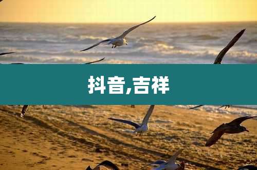 抖音,吉祥