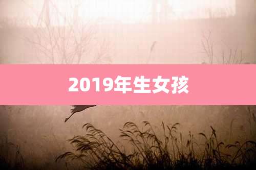 2019年生女孩