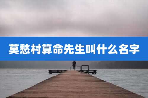 莫愁村算命先生叫什么名字