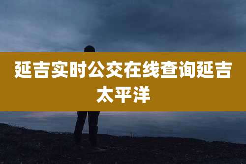 延吉实时公交在线查询延吉太平洋
