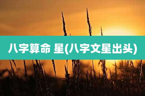八字算命 星(八字文星出头)