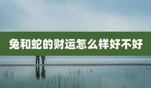 兔和蛇的财运怎么样好不好