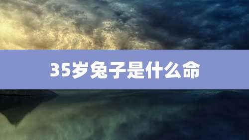 35岁兔子是什么命