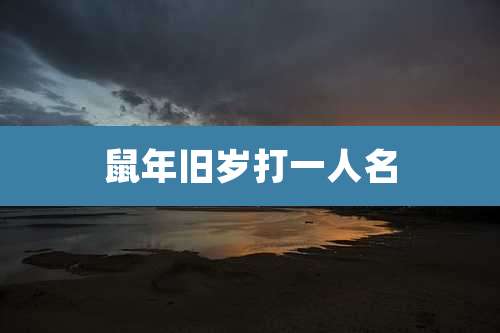 鼠年旧岁打一人名